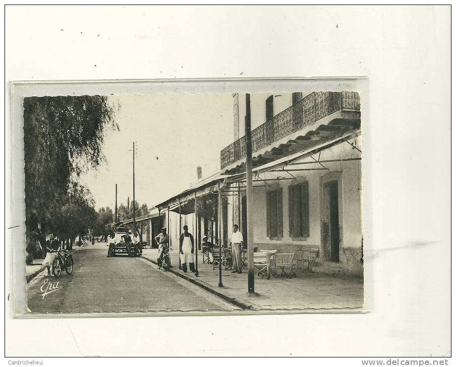 AIN SEFRA N41  PLACE G CLEMENCEAU   VOITURE  PERSONNAGES CARTE PHOTO