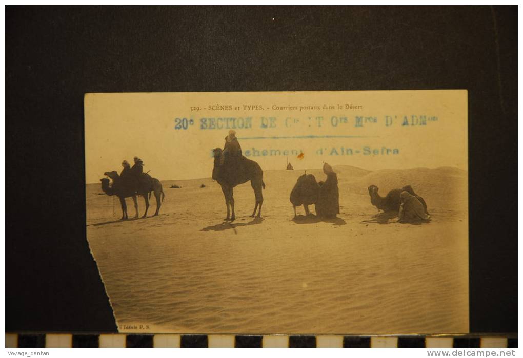 529 SCENES ET TYPES COURRIERS POSTAUX DANS LE DESERT ACHEMINEMENT D'AIN SEFRA