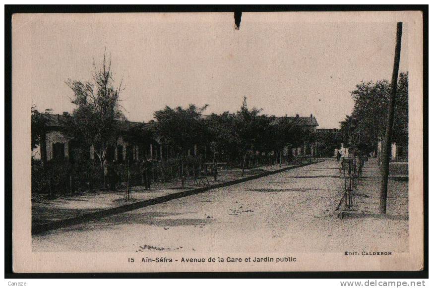 AK Algerien/Algeria/Algerie, Ain Sefra, Avenue de la Gare et Jardin public