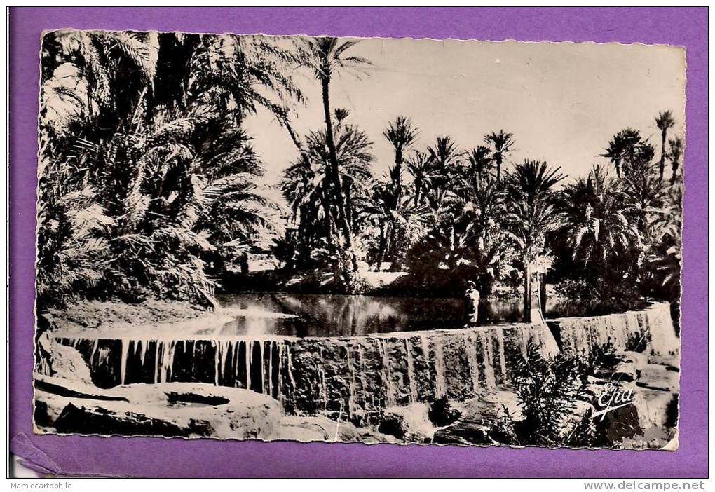 ALGERIE - environs d'AIN SEFRA - TIOUT - le Barrage