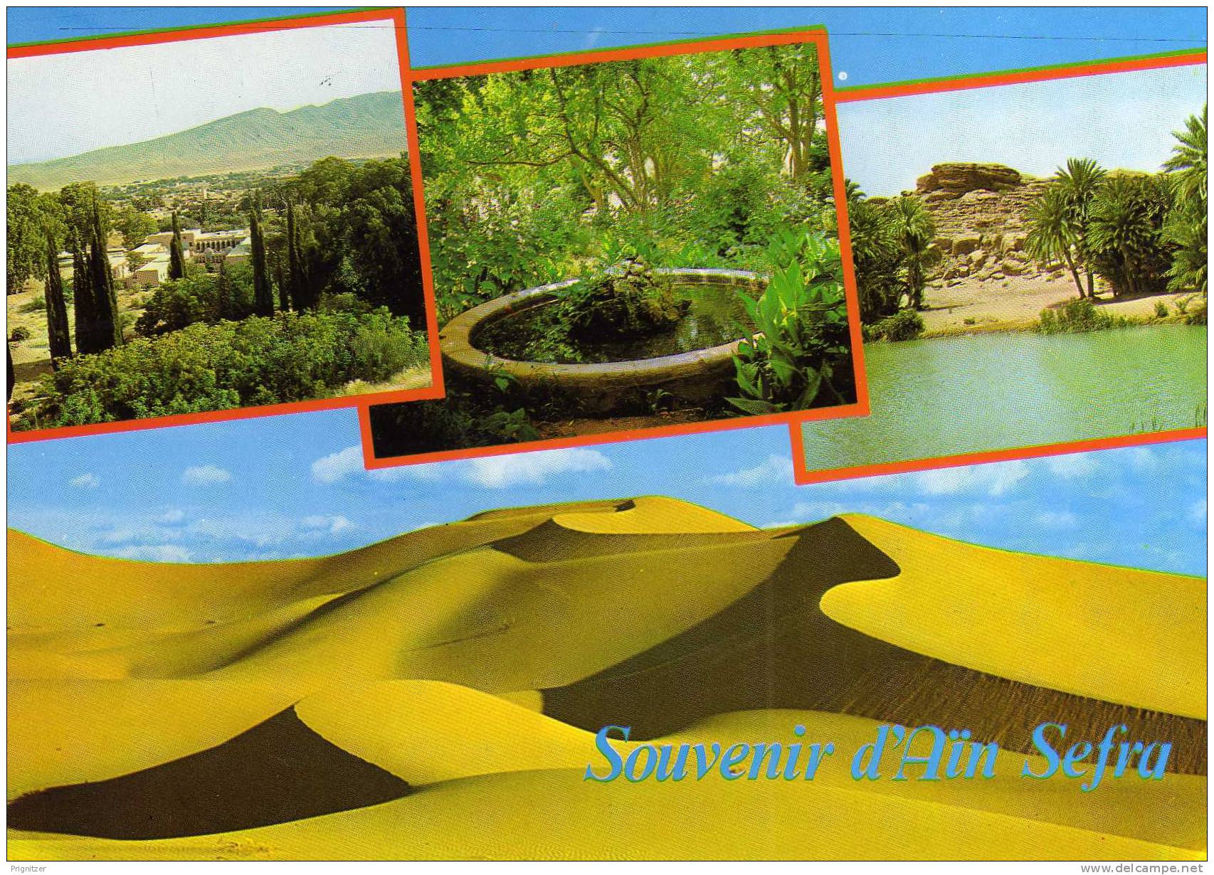 ALGERIE / ALGERIEN     Souvenir d'Ain Sefra