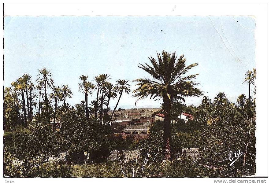 AIN-SEFRA - Oasis et Ksar. (F.M.)
