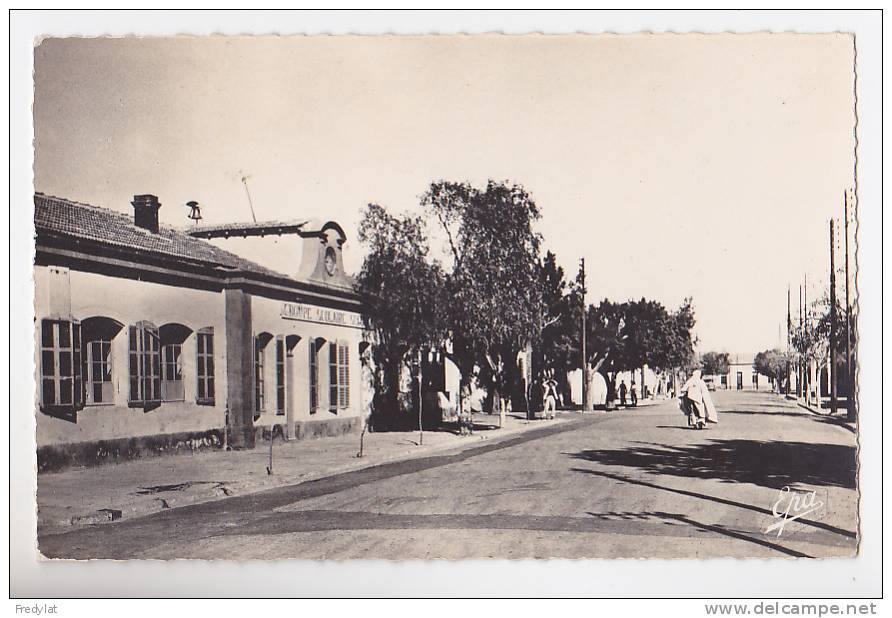 AIN SEFRA  GROUPE SCOALIRE SEGUELA   CARTE CIRCULEE