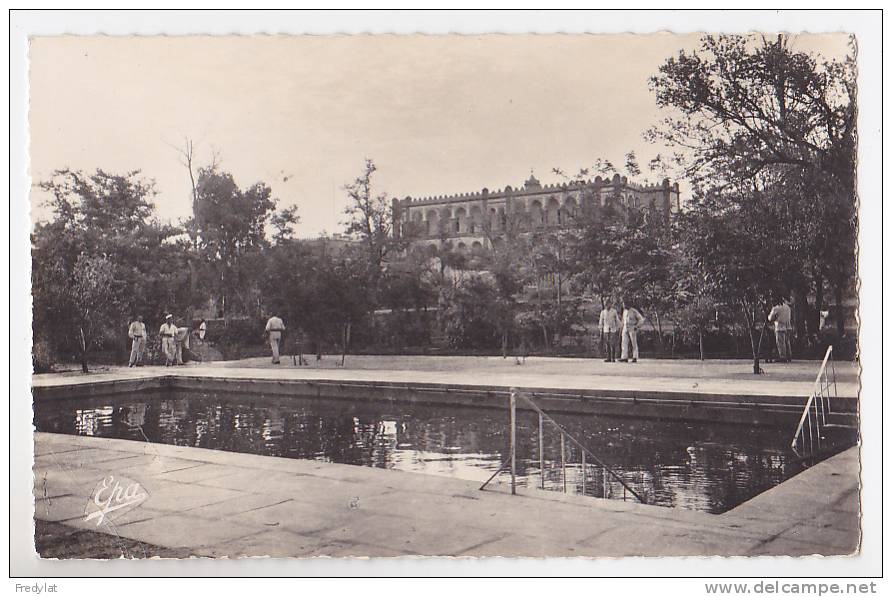 AIN SEFRA  LA PISCINE   CARTE CIRCULEE