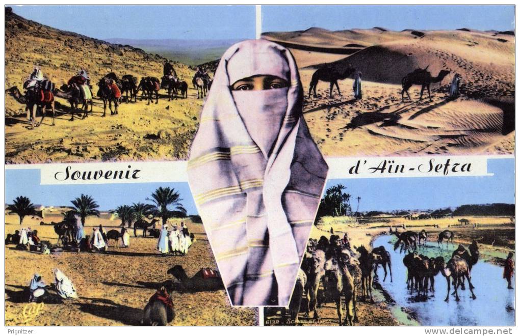 ALGERIE / ALGERIEN    Ain Sefra    Souvenir d'Ain Sefra
