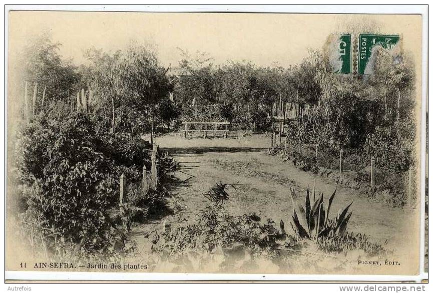 ALGERIE  AIN SEFRA  JARDIN DES PLANTES