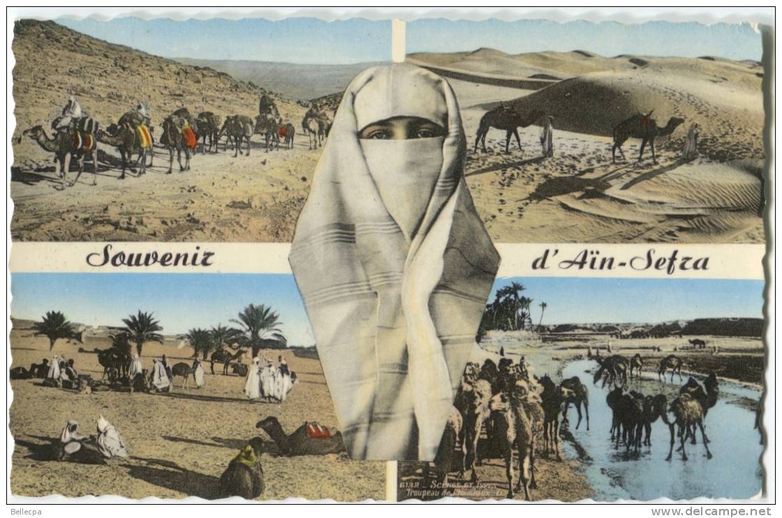AFRIQUE ALGERIE Souvenir d´ Ain Sefra Multivues