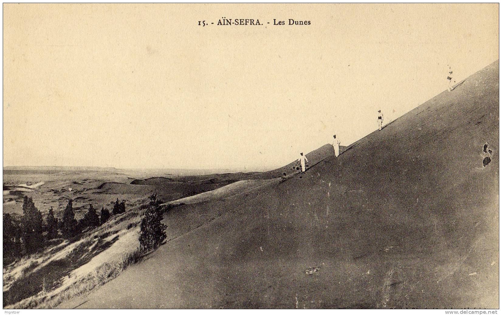 ALGERIE / ALGERIEN    Ain Sefra     Les Dunes