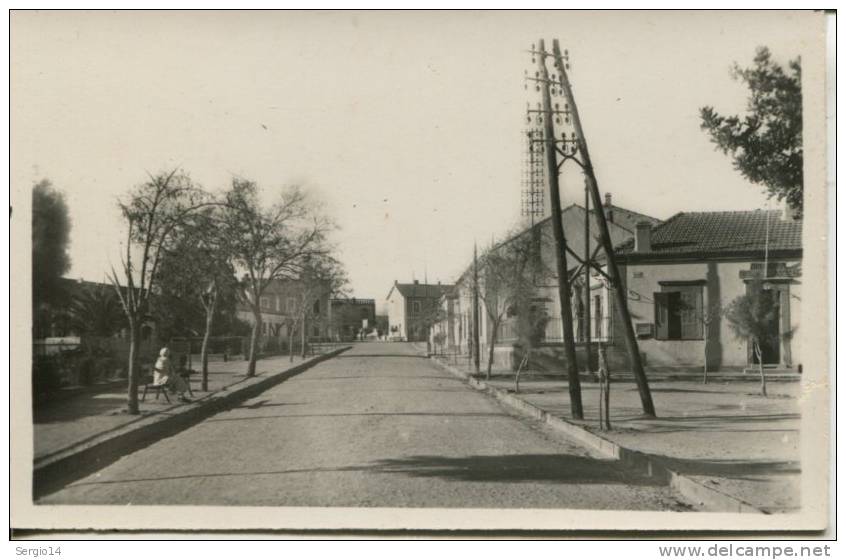 CPSM AIN-SEFRA-AVENUE DE LA GARE