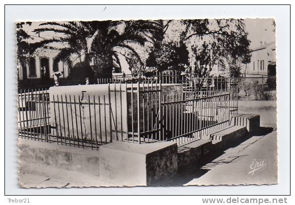 AIN SEFRA - Le Cadran Solaire