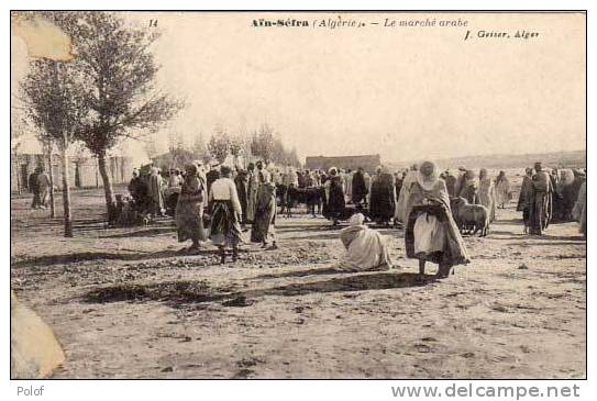 AIN-SEFRA - le marche arabe (19251)