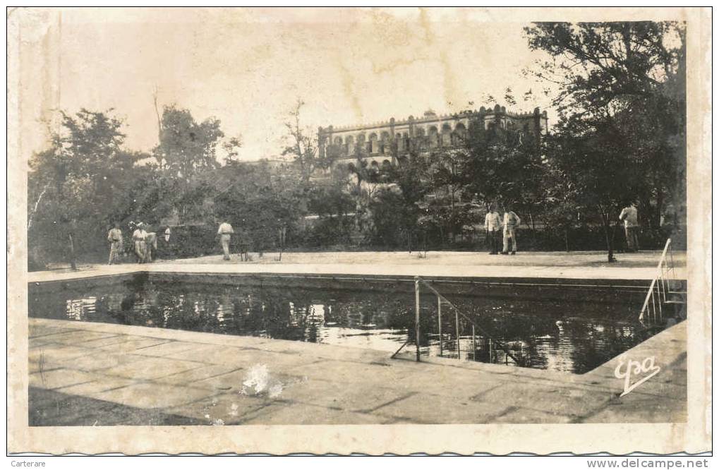 cpa,afrique du nord,algérie,wilaya de naama,LA  PISCINE DE AIN SEFRA,rare