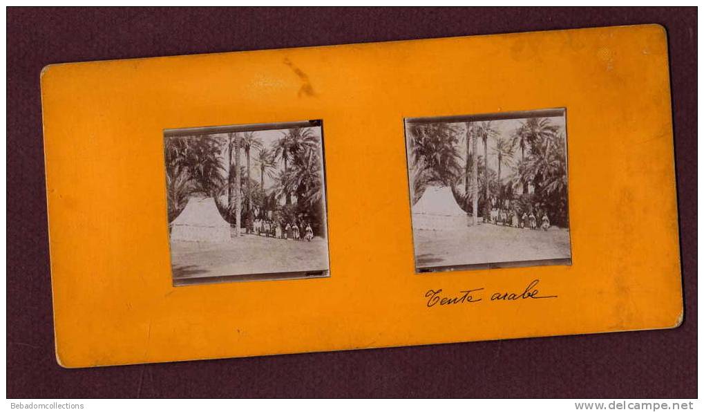 Belle photo stéréo 19eme ALGÉRIE - AIN SEFRA - TENTE ARABE