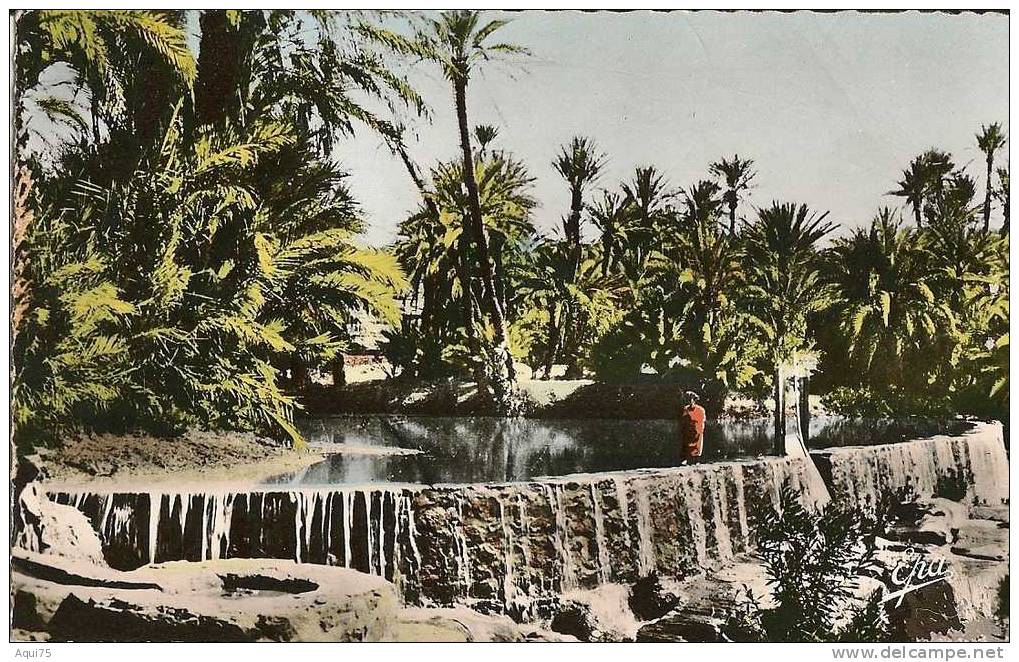 AIN SEFRA Tiout     Le Barrage