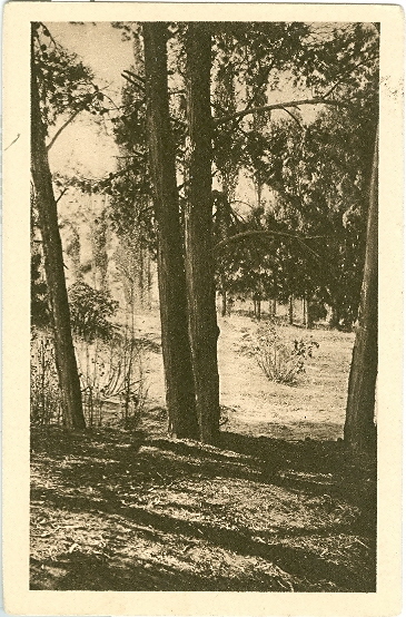 32 - ALGERIA AIN-SEFRA NOT CIRCULATED