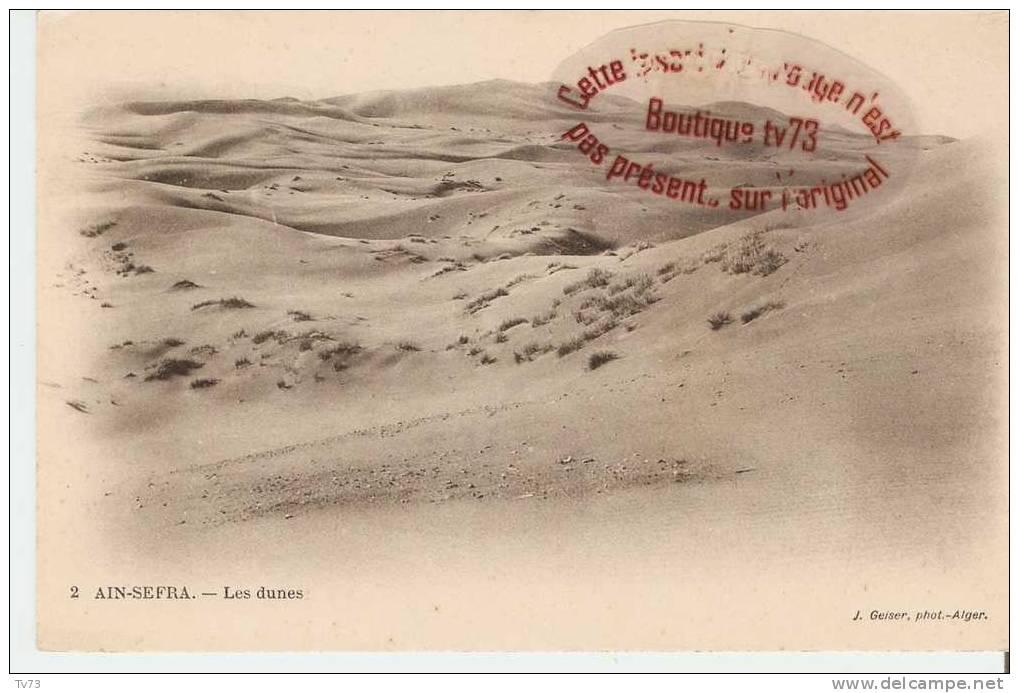cpG833 - AIN-SEFRA - Les dunes - (Algérie)