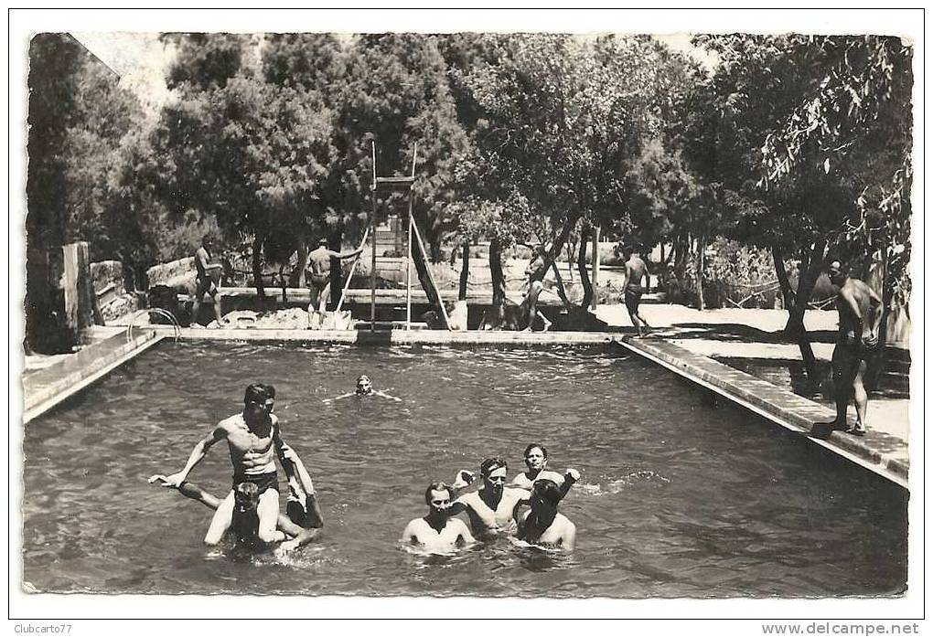 Ain-Sefra (Algérie)  Militaire français dans la piscine militaire env 1950 (animée).