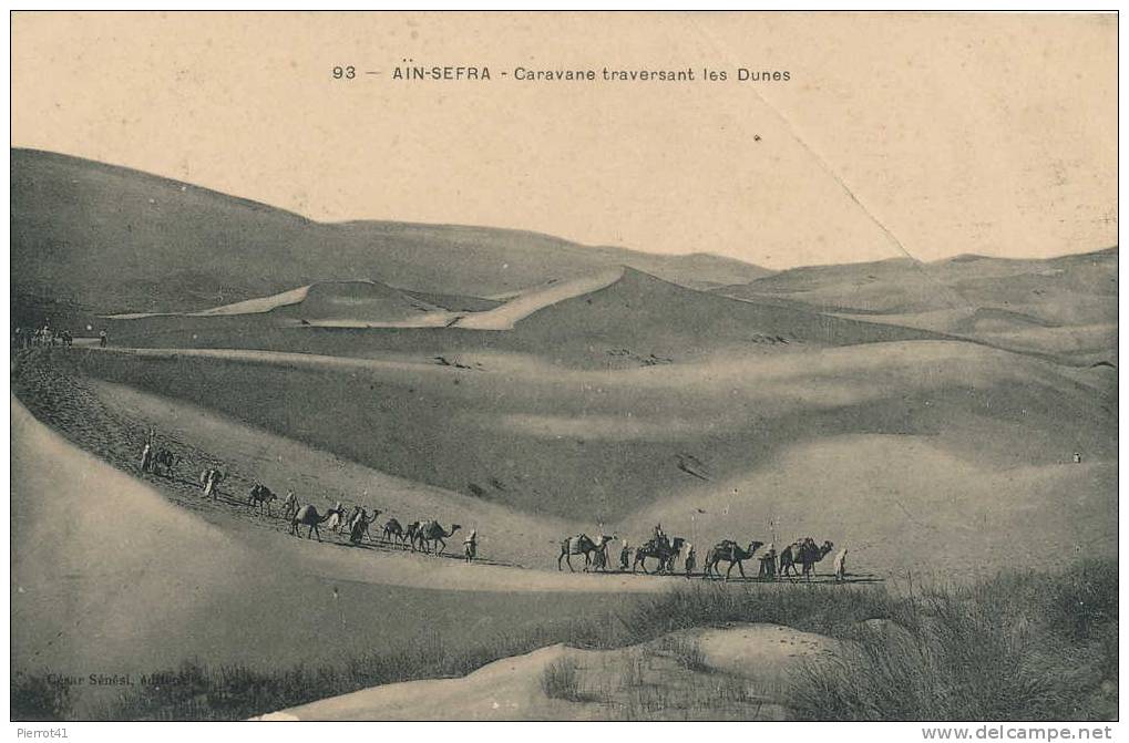 AIN-SEFRA - Caravane traversant les dunes