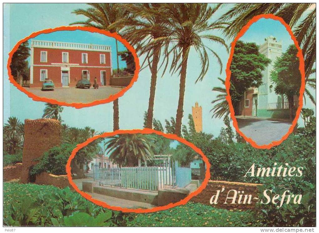 CPM/CPSM   Amitiès d'Aïn-Sefra   (animée)    M100