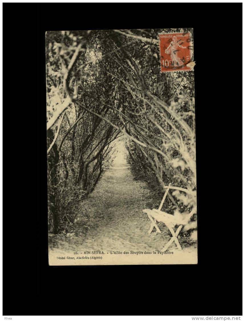16 -  AIN-SEFRA - L'Allée des Soupirs