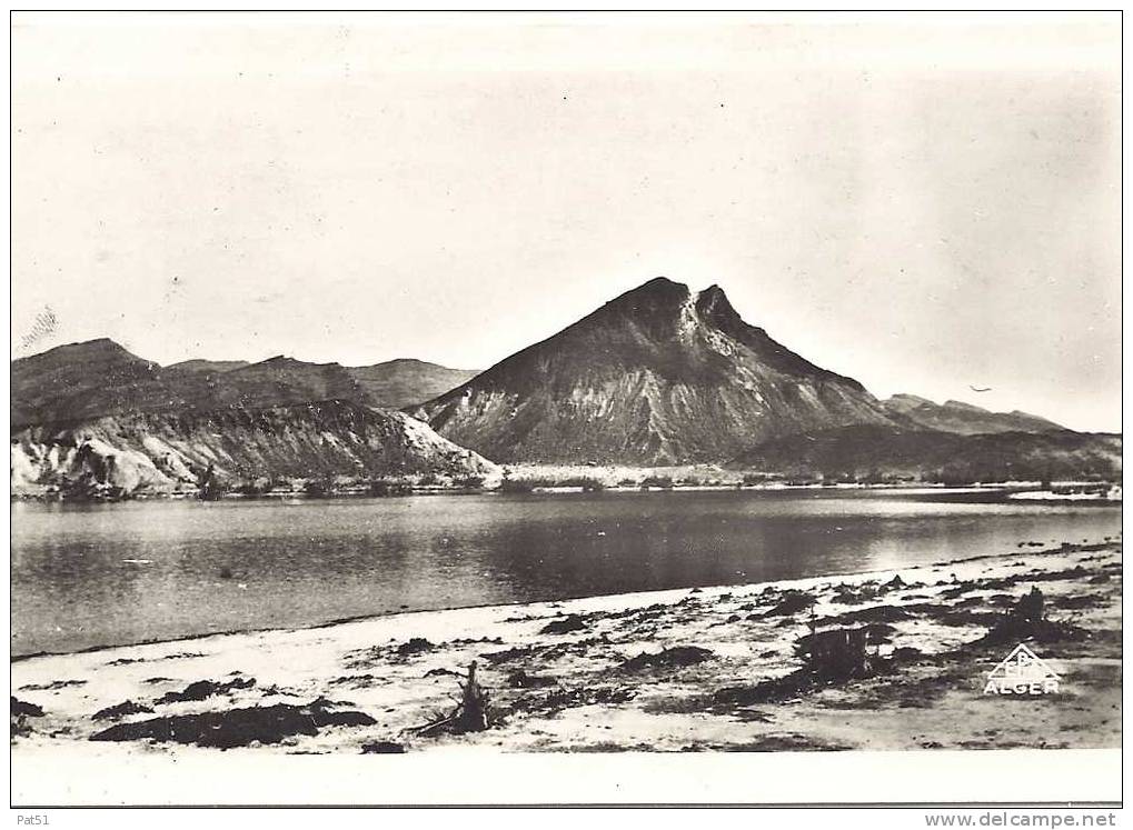 ALGERIE -  Environs d' AIN SEFRA   Ouarka - Le lac et montagne de sel