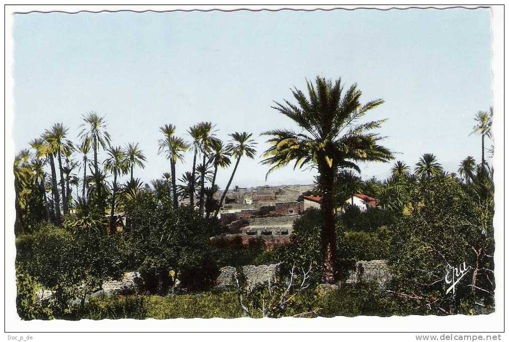 Algerien - Ain Sefra - Oasis et Ksar