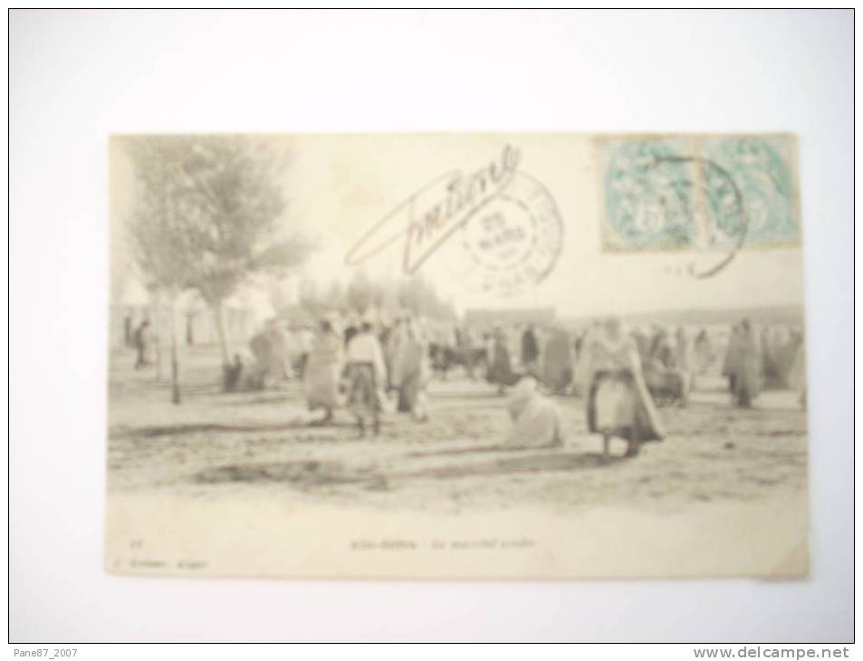 ALGERIE  AIN SEFRA       CARTE/  MOLLE   EN LETAT   sinon  ttb