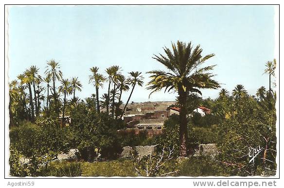 AIN-SEFRA - Oasis et Ksar