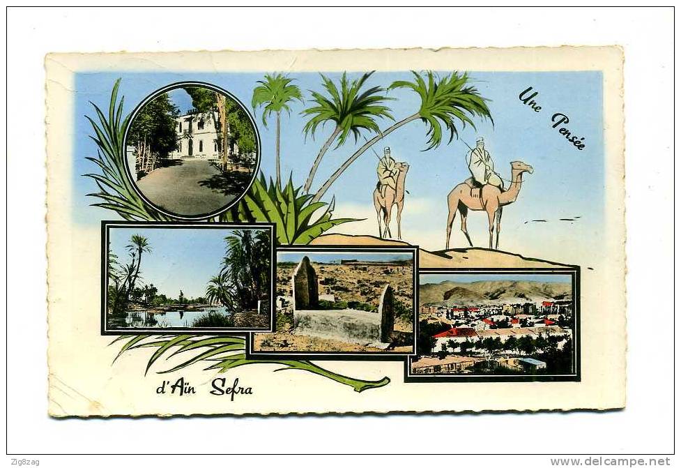 UNE PENSEE D AIN SEFRA