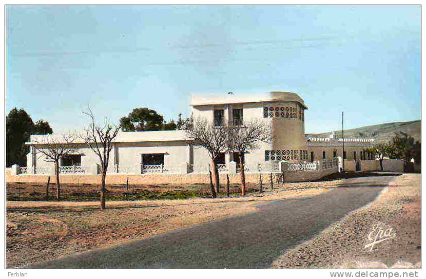 AFRIQUE. ALGERIE. AIN SEFRA. Ecole Ménagère. Carte Dentelée.