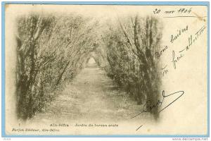 CARTE POSTALE 7 AIN-SEFRA JARDIN DU BUREAU ARABE . FARJON EDITEUR AIN-SEFRA. CACHET ET TIMBRE DE LA POSTE 1904