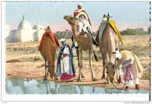 - CP  - Algérie - Ain Sefra - La Halte près du Marabout   - 1957