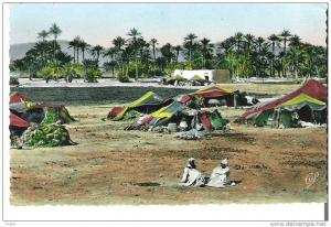 - CP  - Algérie - Ain Sefra - Campement de Nomades  - 1956