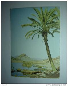 algerie - hammam ouarka  (environs de ain-sefra)