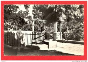 AIN SEFRA cpsm Cadran Solaire et Jardin de l' Eglise        58 CAP