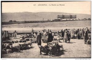 ALGERIE  -  AIN-SEFRA    le marché aux moutons