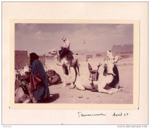 CARTE DE VOEUX 1968 Tamanrasset (Hoggar) - Les Hommes Bleus. Photographie originale.