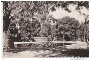 Tamanrasset la piscine