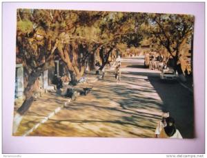 Algérie - CP n° 138Q - Le Hoggar, Tamanrasset - CPSMG/E