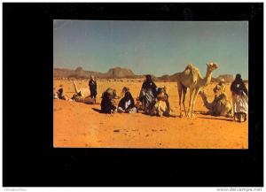 TAMANRASSET Algérie  caravane Touareg ( chameaux camel )