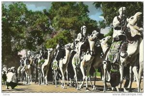 TAMANRASSET LE PELOTON MEHARISTE