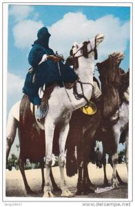 Prix fixe - Tamanrasset (Hoggar) - Les Hommes Bleus - Touaregs # 1-11/10