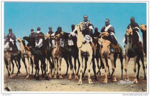 Prix fixe - Tamanrasset (Hoggar) - Groupe de Touaregs à méhari - Territoire des Oasis # 1-11/10