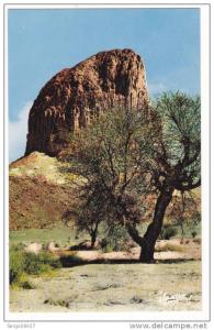 Prix fixe - Tamanrasset - Hoggar - Pic Laperrine # 10-10/7