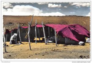 TAMANRASSET  (Algérie) - CPSM - Une tente touareg ... fusil