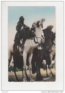 Algérie N° 29 Méharistes à Tamanrasset belle carte dentelée