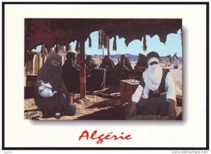 ALGERIE - ALGERIA - CPA - Tamanrasset - Sahara - Desert - Touareg - Le Thé - Neuve/Mint