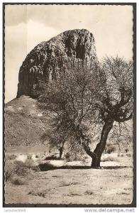 cpsm TAMANRASSET (ALGERIE) pic laperrine    (bon etat)