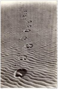 5 - Le langage du sable - Coopérative Scolaire de Tamanrasset(Territoires des Oasis)