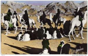 147 - Danse des chameaux à Tamanrasset - Phot Gt Général de l´Algerie